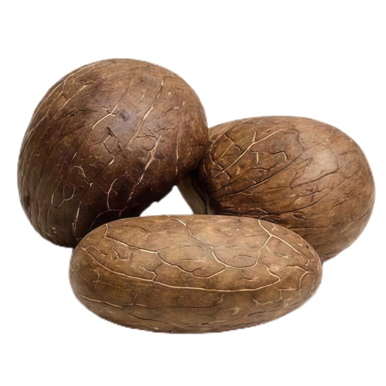 O1CN01pIWvFJ25Dqo69Yi7m_!!2220563417493-0-cib